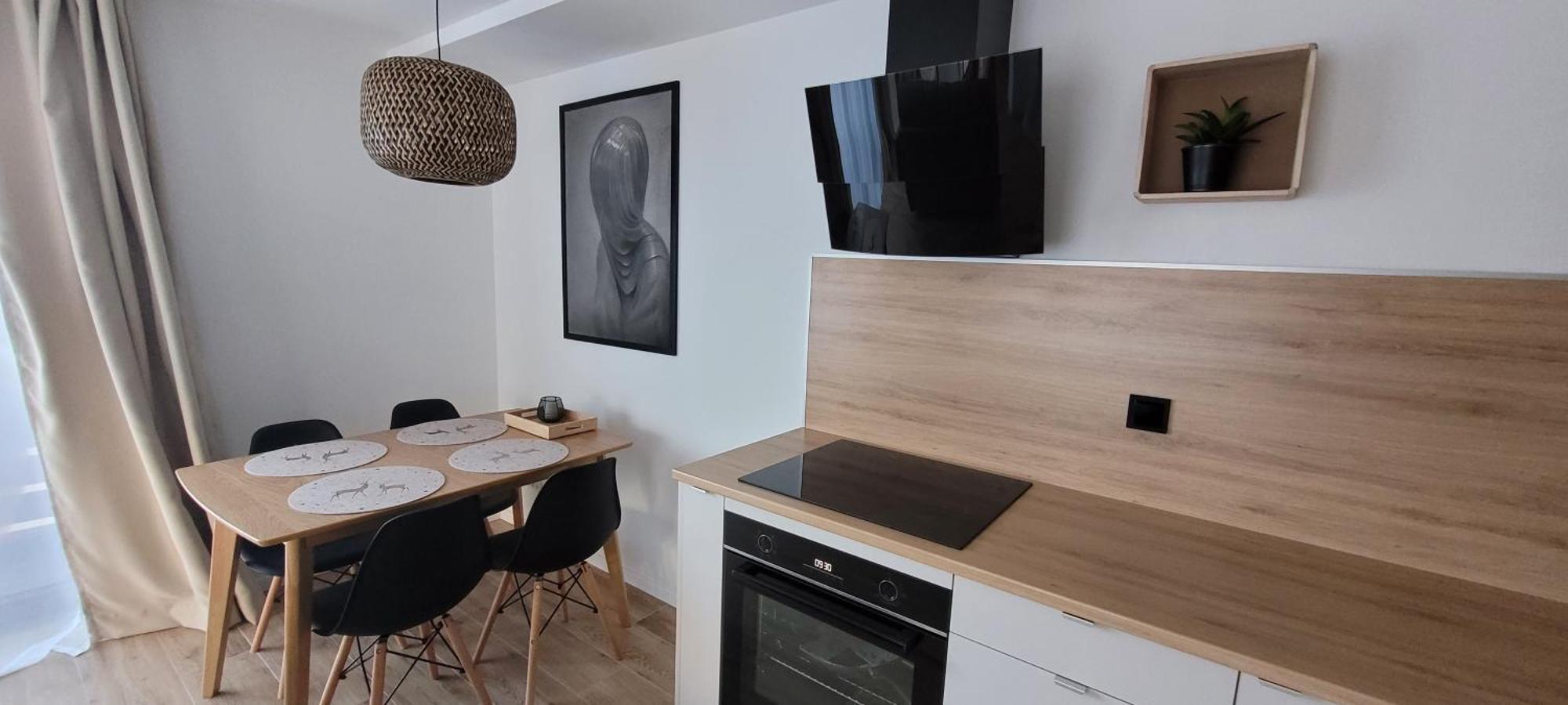 Zielona Przystan Apartament Karpacz
