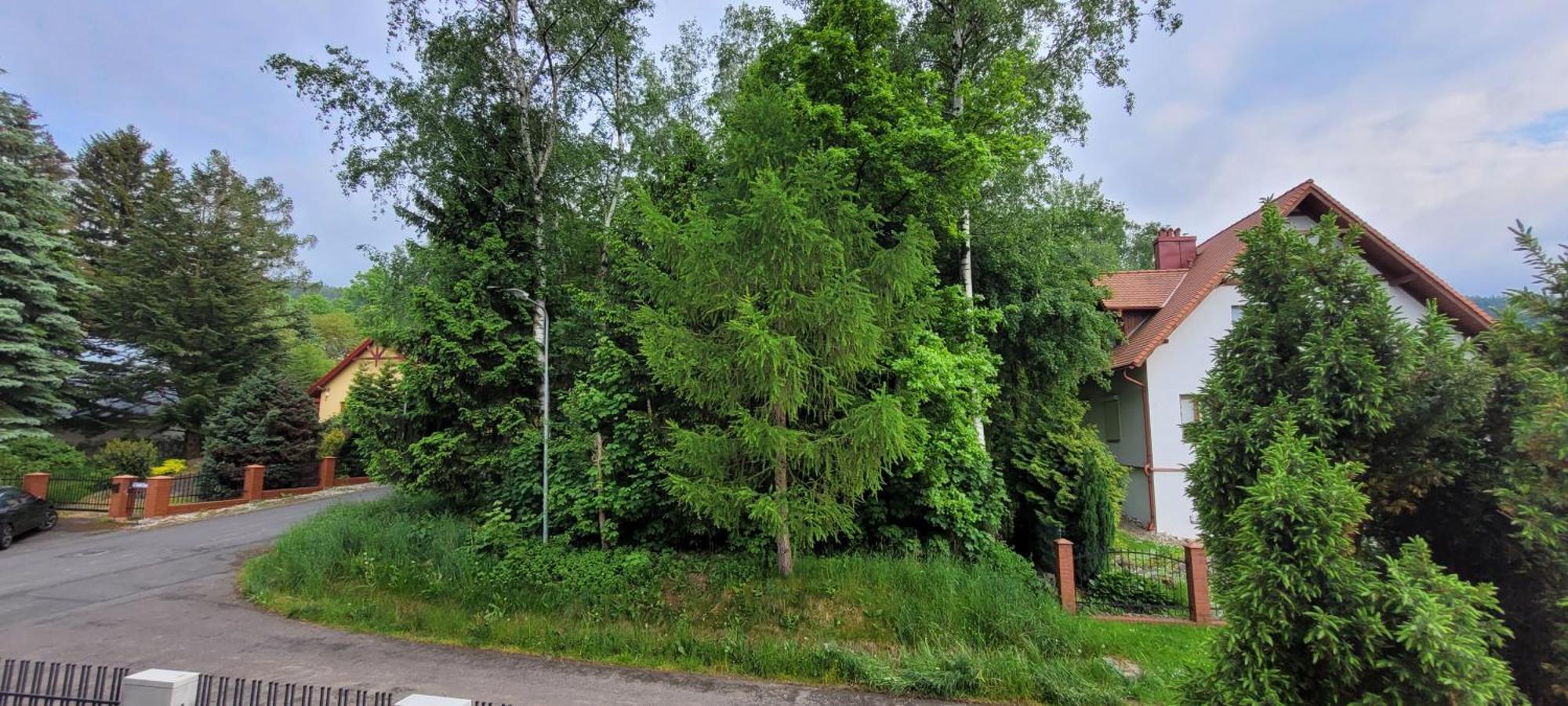 Apartament Zielona Przystan